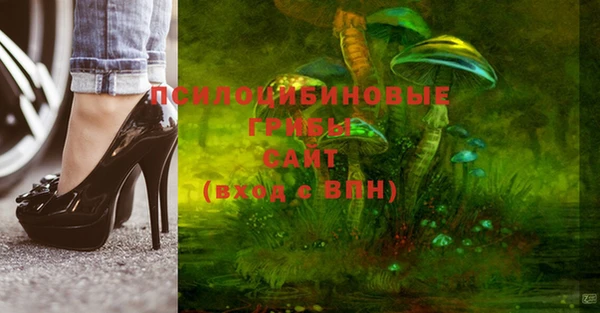 ешки Слюдянка